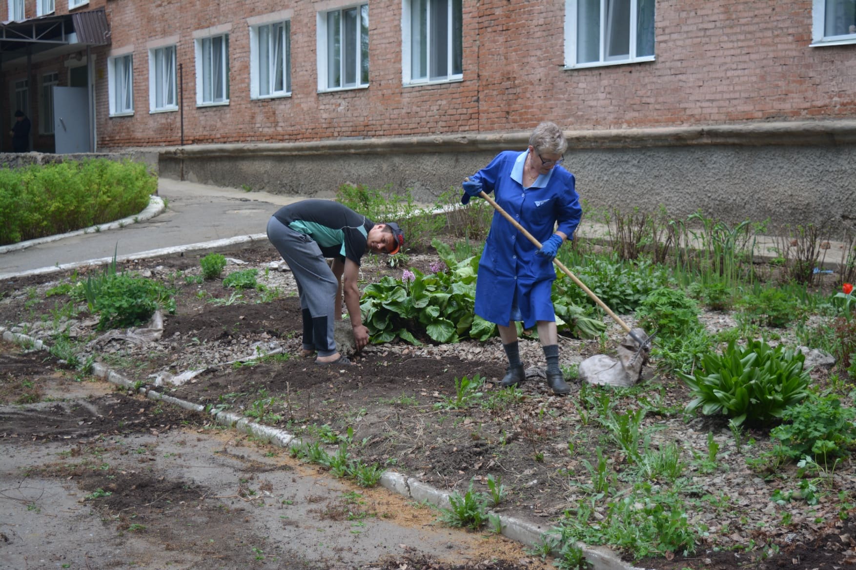 rabotavcvetochniki.jpg